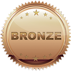 bronze investment plan