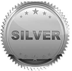 silver investment plan